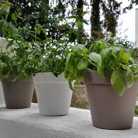 Lejlighed Studio Von Gloeden Taormina