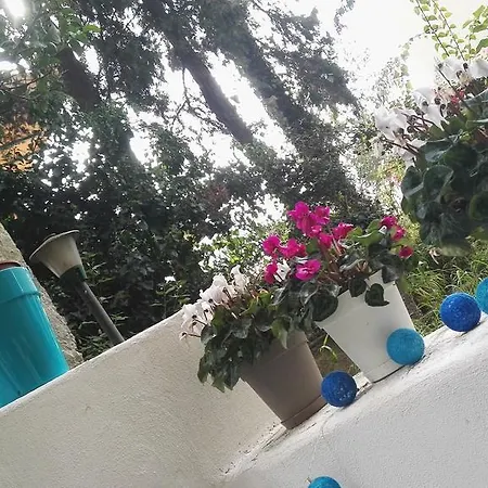 Διαμέρισμα Studio Von Gloeden Ταορμίνα